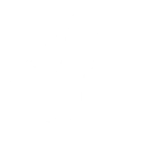 Elevatrion Logo - KI Agentur für Workflow Automation